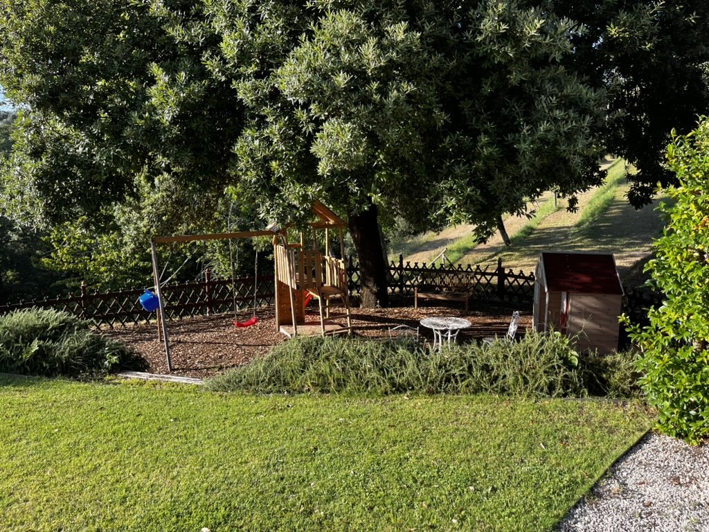 Children's play area under the oak